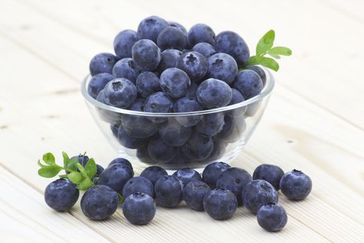 fresh blueberries in a bowl