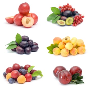 collection of fresh fruits