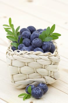 fresh blueberries in a basket