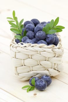 fresh blueberries in a basket