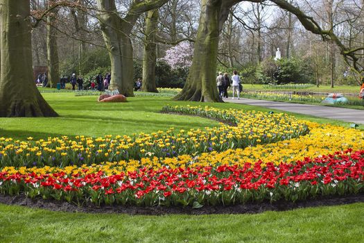Colorful spring flowers in the park 