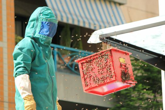 Fireman wearing green clothes to protect from bees that he's trying to attract on the red box