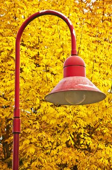 painted leaves with lantern