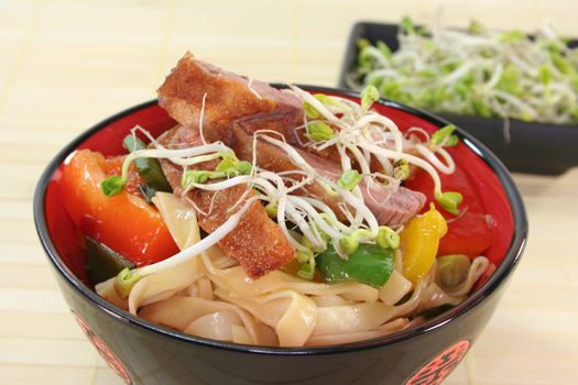 Duck breast with fried noodles, fresh vegetables and radish sprouts