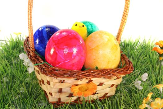 Easter basket with Easter eggs and chicks on a green meadow
