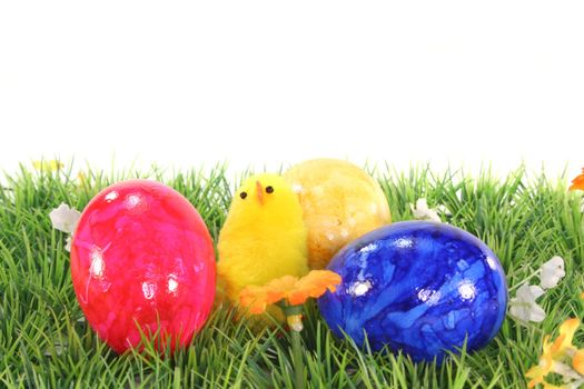 Easter eggs and chicks on a green meadow