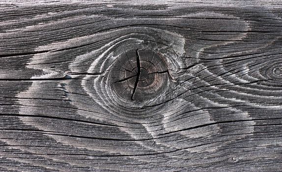 Macro view of wood knot