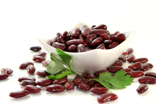 dried red kidney beans with coriander on a white background