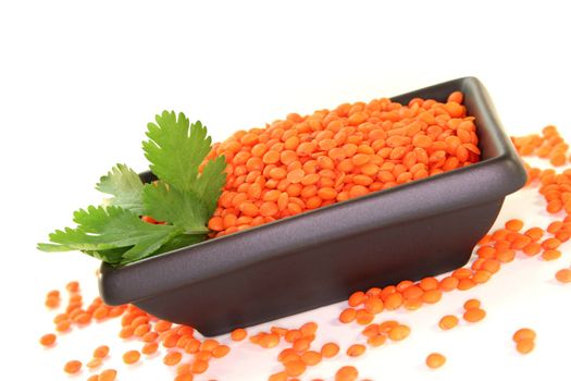 dried red lentils with coriander on a white background