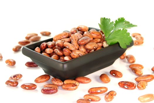 red mottled and dried pinto beans with coriander