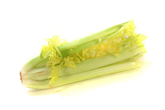 fresh, healthy celery on a white background