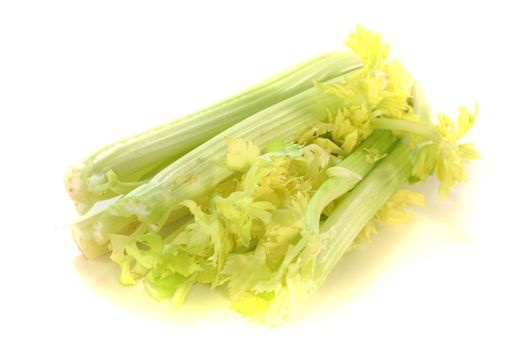 fresh, healthy celery on a white background