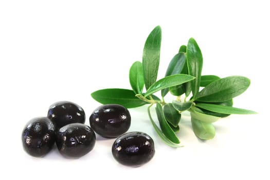 Olives and olive branch on a white background