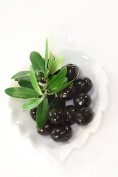 Olives and olive branch on a white background