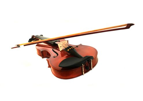 Violin on white background