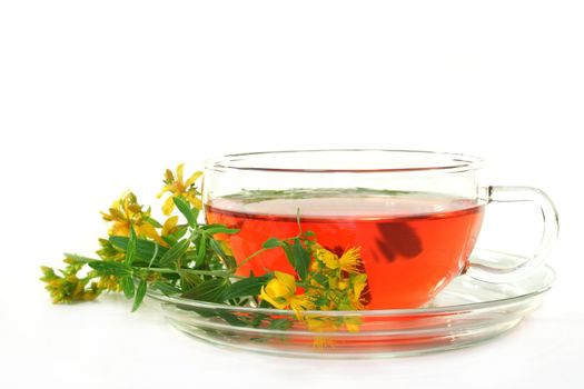 a cup of St. John's Wort Tea with fresh flowers