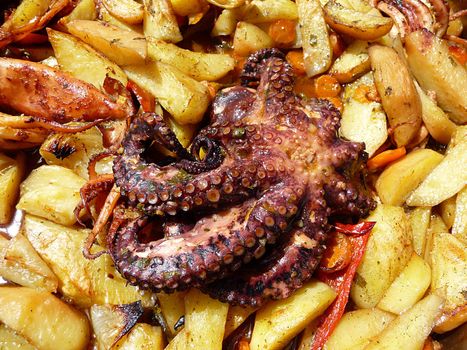 Octopussy with potato baked in olive oil - traditional Dalmatian dish