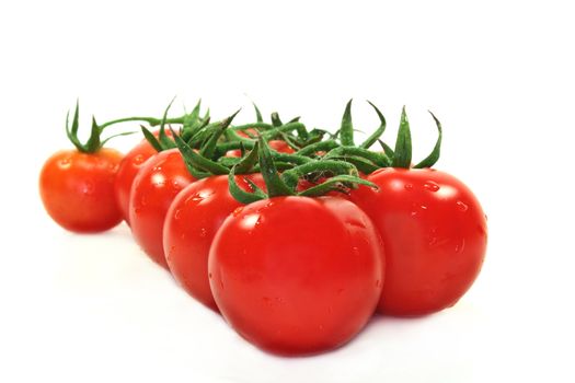 Tomatoes on white background