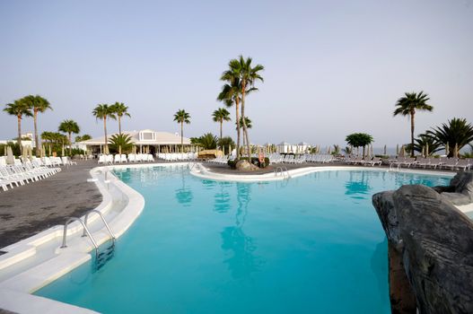 Nice swimming pool and palm trees