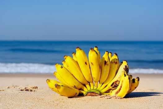 Bunch of bananas on the sand at the sea