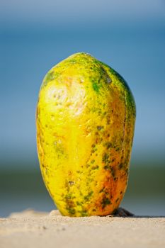 Tropical papaya on the sandy shore near sea