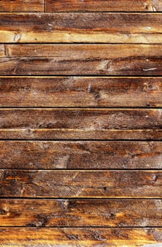 Old grungy weathered wood planks off the side of a cabin deep in the forest, great texture details.