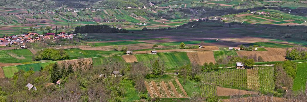 Vineyaeds and fields with traditional cottages in Kalnik mountain region, Croatia