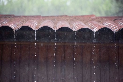 Under the rain, drop from the rooftop.