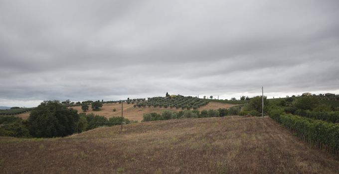 Waiting for the storm in Tuscany, fields and vineyard under a gray stormy sky.