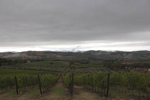 Waiting for the storm in Tuscany, fields and vineyard under a gray stormy sky.