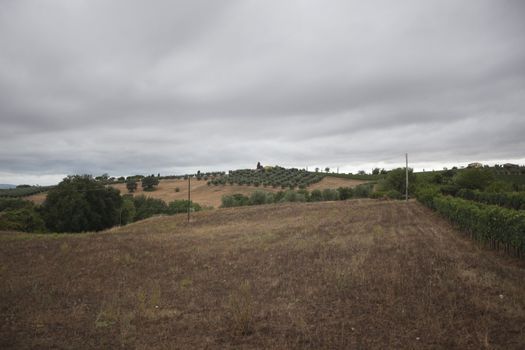 Waiting for the storm in Tuscany, fields and vineyard under a gray stormy sky.