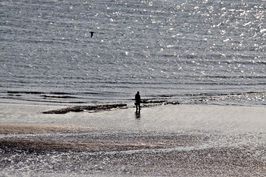 Person walking on the beach in the sunset