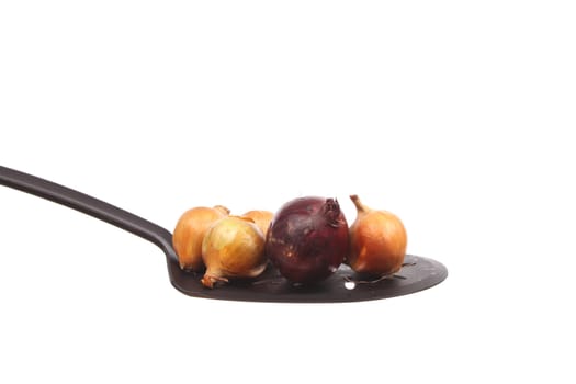 Onion on a spoon against a white background