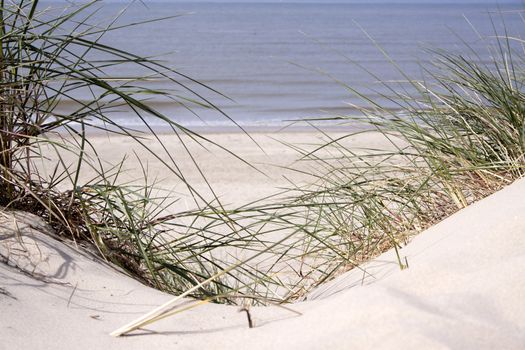 Dunes on the beach along the Frenche coast