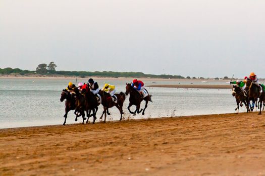 SANLUCAR DE BARRAMEDA, CADIZ, SPAIN - AUGUST 10: Unidentified riders race horses on Sanlucar de Barrameda beach on August 10, 2011 in Sanlucar de Barrameda, Cadiz, Spain.