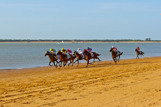SANLUCAR DE BARRAMEDA, CADIZ, SPAIN - AUGUST 10: Unidentified riders race horses on Sanlucar de Barrameda beach on August 10, 2011 in Sanlucar de Barrameda, Cadiz, Spain.