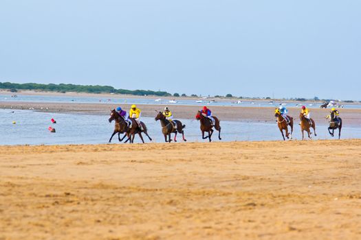 SANLUCAR DE BARRAMEDA, CADIZ, SPAIN - AUGUST 11: Unidentified riders race horses on Sanlucar de Barrameda beach on August 11, 2011 in Sanlucar de Barrameda, Cadiz, Spain.