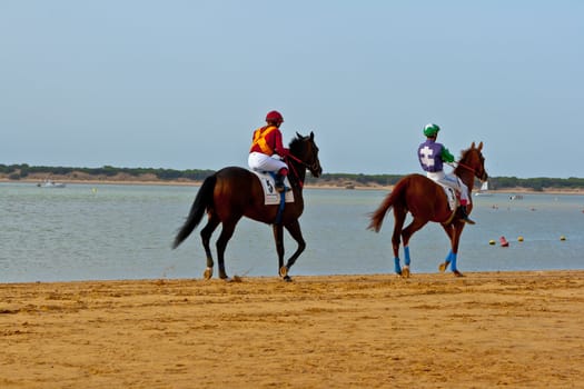 SANLUCAR DE BARRAMEDA, CADIZ, SPAIN - AUGUST 11: Unidentified riders at the start of race horses on Sanlucar de Barrameda beach on August 11, 2011 in Sanlucar de Barrameda, Cadiz, Spain.