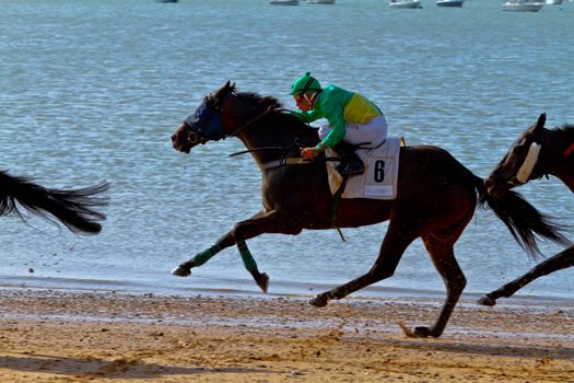 SANLUCAR DE BARRAMEDA, CADIZ, SPAIN - AUGUST 10: Unidentified riders race horses on Sanlucar de Barrameda beach on August 10, 2011 in Sanlucar de Barrameda, Cadiz, Spain.