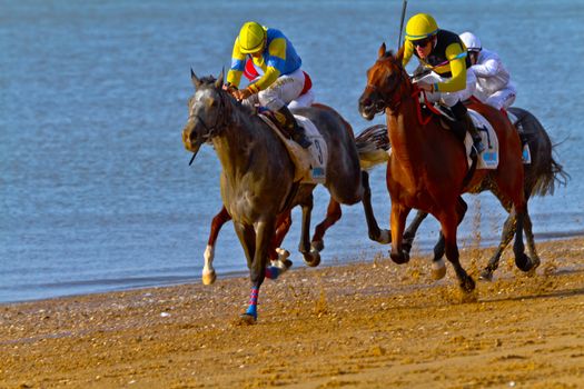 SANLUCAR DE BARRAMEDA, CADIZ, SPAIN - AUGUST 10: Unidentified riders race horses on Sanlucar de Barrameda beach on August 10, 2011 in Sanlucar de Barrameda, Cadiz, Spain.