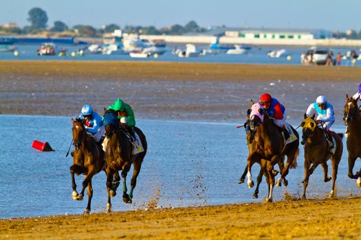 SANLUCAR DE BARRAMEDA, CADIZ, SPAIN - AUGUST 10: Unidentified riders race horses on Sanlucar de Barrameda beach on August 10, 2011 in Sanlucar de Barrameda, Cadiz, Spain.