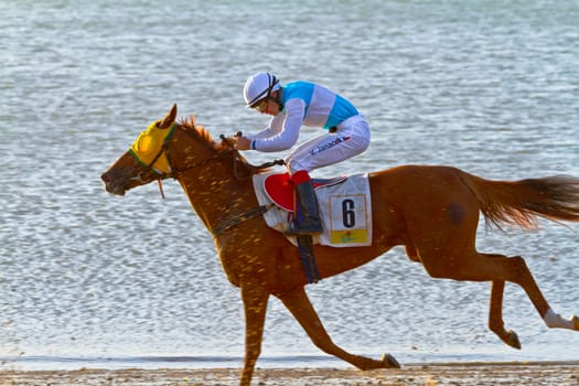 SANLUCAR DE BARRAMEDA, CADIZ, SPAIN - AUGUST 10: Unidentified rider race horses on Sanlucar de Barrameda beach on August 10, 2011 in Sanlucar de Barrameda, Cadiz, Spain.