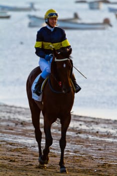 SANLUCAR DE BARRAMEDA, CADIZ, SPAIN - AUGUST 10: Unidentified rider at the start of race horses on Sanlucar de Barrameda beach on August 10, 2011 in Sanlucar de Barrameda, Cadiz, Spain.