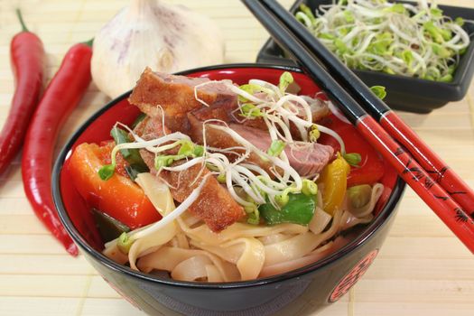 Duck breast with fried noodles, fresh vegetables and radish sprouts