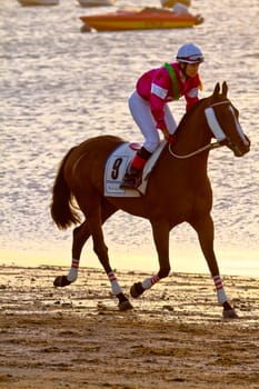 SANLUCAR DE BARRAMEDA, CADIZ, SPAIN - AUGUST 10: Unidentified rider at the start of race horses on Sanlucar de Barrameda beach on August 10, 2011 in Sanlucar de Barrameda, Cadiz, Spain.