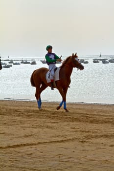 SANLUCAR DE BARRAMEDA, CADIZ, SPAIN - AUGUST 11: Unidentified rider at the start of race horses on Sanlucar de Barrameda beach on August 11, 2011 in Sanlucar de Barrameda, Cadiz, Spain.