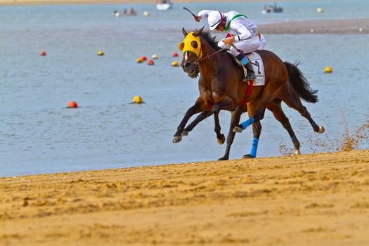 SANLUCAR DE BARRAMEDA, CADIZ, SPAIN - AUGUST 11: Unidentified riders race horses on Sanlucar de Barrameda beach on August 11, 2011 in Sanlucar de Barrameda, Cadiz, Spain.