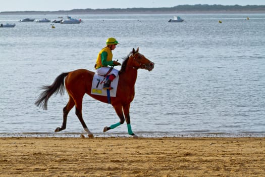 SANLUCAR DE BARRAMEDA, CADIZ, SPAIN - AUGUST 11: Unidentified rider at the start of race horses on Sanlucar de Barrameda beach on August 11, 2011 in Sanlucar de Barrameda, Cadiz, Spain.