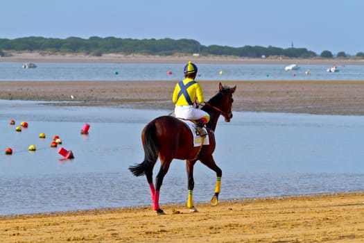 SANLUCAR DE BARRAMEDA, CADIZ, SPAIN - AUGUST 11: Unidentified rider at the start of race horses on Sanlucar de Barrameda beach on August 11, 2011 in Sanlucar de Barrameda, Cadiz, Spain.