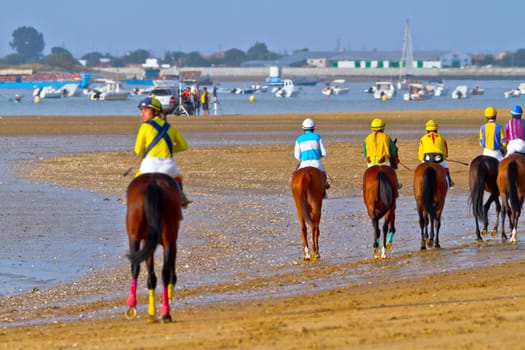 SANLUCAR DE BARRAMEDA, CADIZ, SPAIN - AUGUST 11: Unidentified riders at the start of race horses on Sanlucar de Barrameda beach on August 11, 2011 in Sanlucar de Barrameda, Cadiz, Spain.
